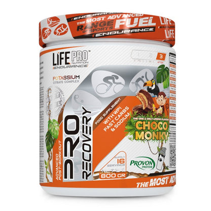 Endurance Recovery Pro 800g